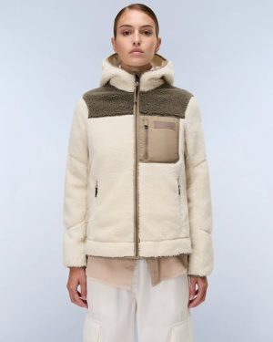 573359158_3754628031505871_4907111948461453587_n