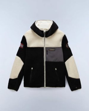 574570829_3754592748176066_507378551536863325_n